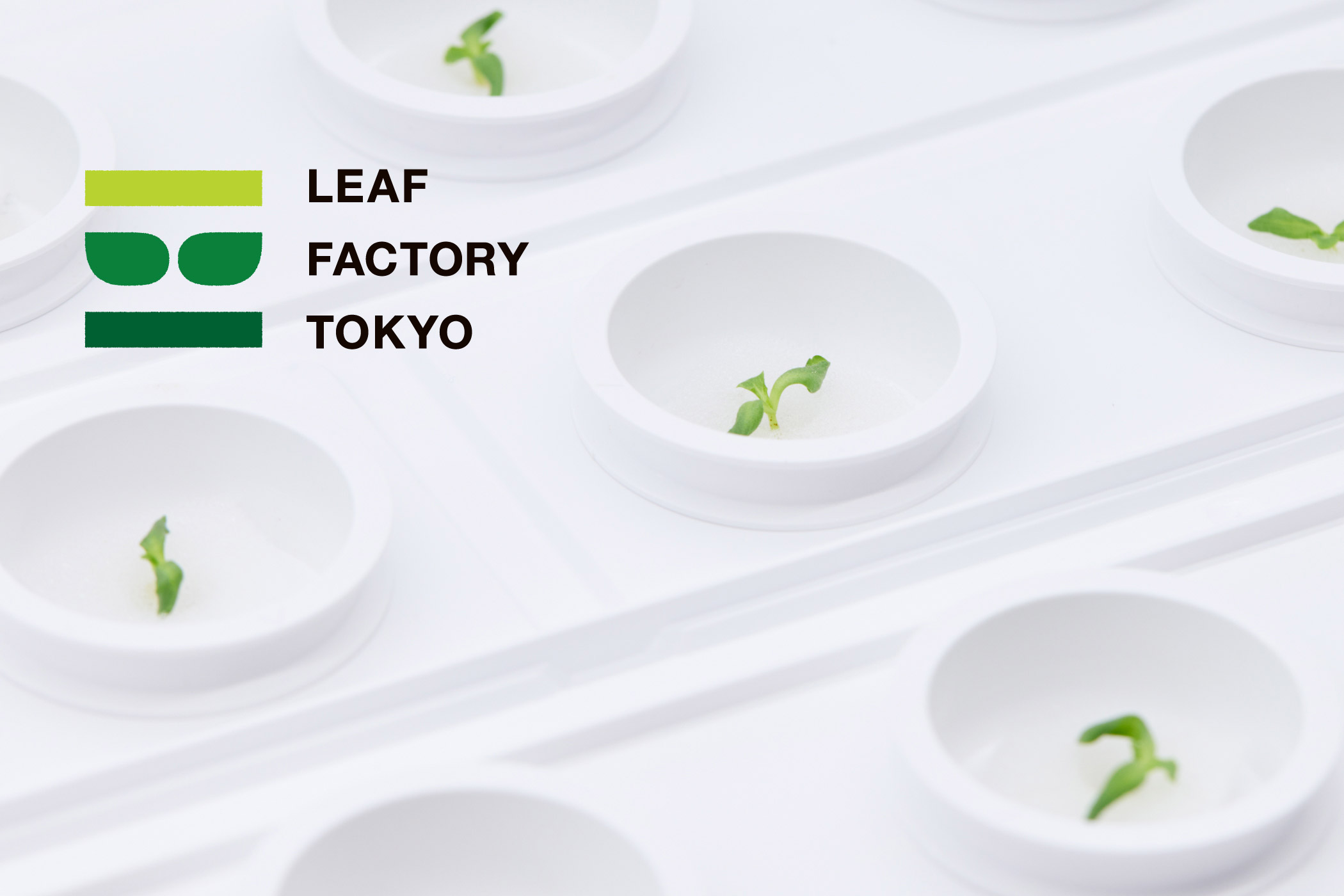 LEAF FACTORY TOKYO